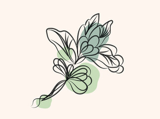 Elegant Abstract Floral Line Art Design with Soft Green Accents