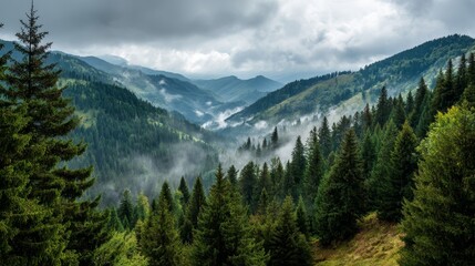 Obraz premium Amazing wild nature view of layer of mountain forest landscape with cloudy sky