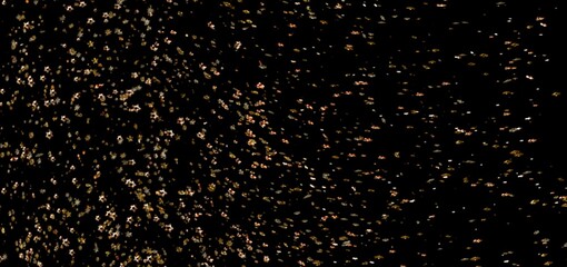 Sparkling gold glitter falling on black. Perfect for backgrounds, overlays, and festive designs.