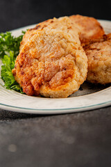 Meat cutlets pork, beef, chicken, lamb fried meat dish fresh delicious gourmet food background on the table rustic food top view copy space