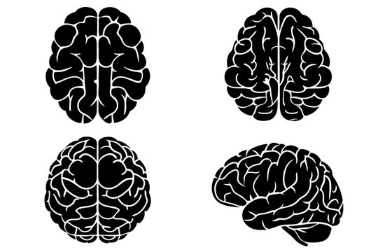 set of brains silhouette vector on tranparent background