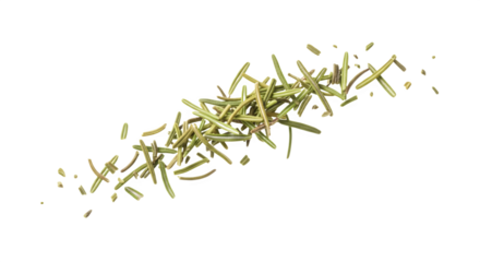 Dried rosemary herb pieces scattered against a . Isolated on white or transparent background