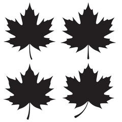 Simple Line Drawings outline of Maple Leaves, Black Silhouettes of vector set Maple Leaves