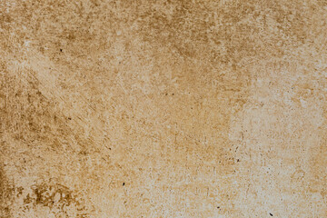 Green moss and rain stains on cement wall
