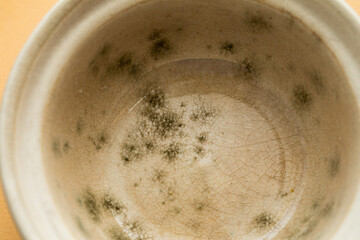Mold in a food bowl