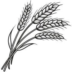 Black and White Line Art Illustration of a Bunch of Wheat Stalks With Detailed Grain Heads