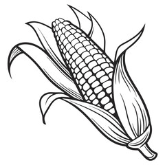 Illustration of a Fresh Corn on the Cob with Husk