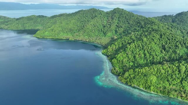 A coral reef grows on the edge of a scenic, palm-covered tropical island, Pulau Damar, near Halmahera, Indonesia. This beautiful area is home to an extraordinary array of marine biodiversity.