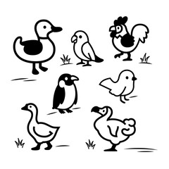 Different kinds of birds collection