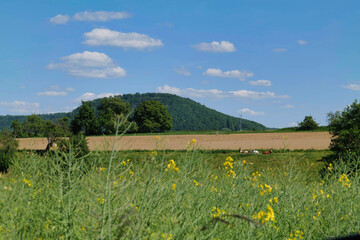 Beautiful Landscape in Hohenlohe Region near Pfedelbach and Baierbach, Baden-Weuerttemberg, Germany