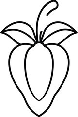 vector illustration of an pepper plant on white