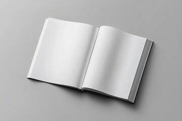 Open book, blank pages