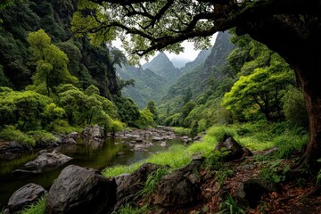 Lush green valley with a serene river and towering mountains during an overcast day