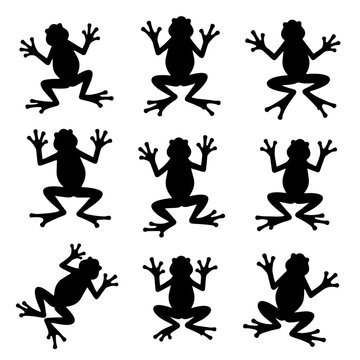 Set frog silhouette isolated vector on white background