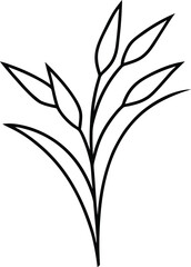 rice plant vector illustration