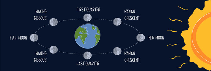 Lunar Orbit and Eclipse Stages Illustration in flat style on dark background. Lunar Shadow Path Diagram. All phases of the moon on the earth orbit  