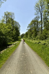 Promenade à contre-jour sous le soleil en pleine nature au domaine provincial de Chevetogne à...
