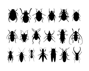set of silhouette of various insects