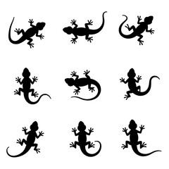 Set lizard silhouette isolated vector on white background
