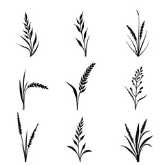 Grass silhouette set in white background
