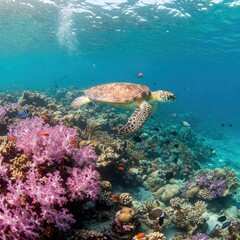 Turtle in Colorful Coral Reef &ndash; World Turtle Day | World Sea Turtle Day | Sea Turtle | Save Turtle | 4K HD High Quality Turtle Laptop Desktop 16:9 Wallpaper Background