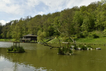 Obraz premium Le lac principal dédié pour la pratique canoë avec son poste d'attache en pleine nature luxuriante au domaine provincial de Chevetogne à Ciney (Dinant)