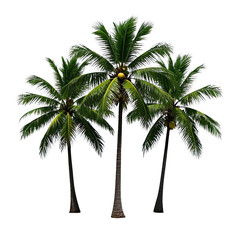 Obraz premium Coconut Trees, Generative AI