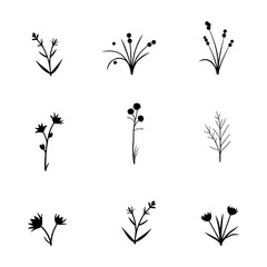 Grass silhouette set in white background
