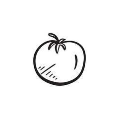 Tomato black and white drawing, sketched vegetable.
