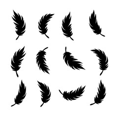 soft bird plumage set. Big set of bird feathers design. fluffy swan. Pen icons design. set of bird feathers design Vector Black silhouettes. with white background