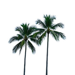  Coconut Trees, Generative AI