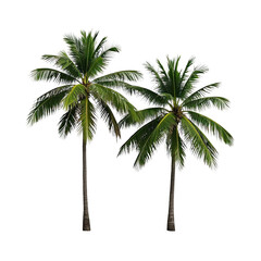 Obraz premium Coconut Trees, Generative AI