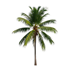  Coconut Trees, Generative AI