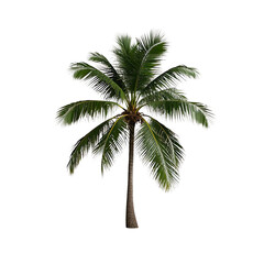 Obraz premium Coconut Trees, Generative AI