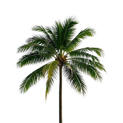  Coconut Trees, Generative AI