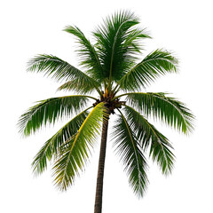 Obraz premium Coconut Trees, Generative AI