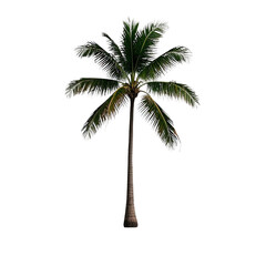  Coconut Trees, Generative AI