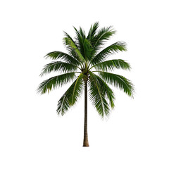  Coconut Trees, Generative AI