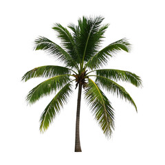 Coconut Trees, Generative AI