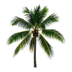  Coconut Trees, Generative AI