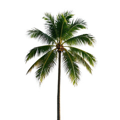 Fototapeta premium Coconut Trees, Generative AI