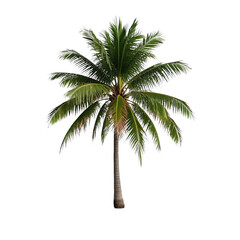 Obraz premium Coconut Trees, Generative AI