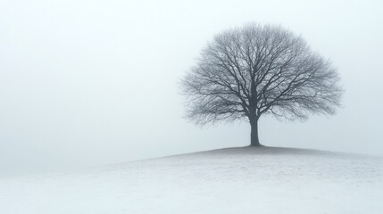 Fototapeta premium Solitary bare tree standing on a snowy hill shrouded in thick winter fog, creating a cold and minimalist landscape.