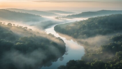 Obraz premium River winding through misty forest at sunrise creates scenic landscape