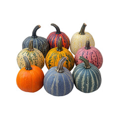 Collection of Colorful Mini Pumpkins, Autumn Harvest Gourds