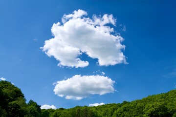 green forest and clouds at a blue sky