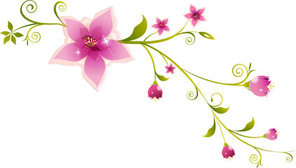 Pink Floral Design Element with Swirling Vines
