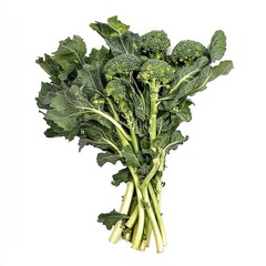 Fresh broccoli bunch with vibrant green leaves.  A tightly clustered bunch of bright green florets and stems, showcasing healthy, leafy greens