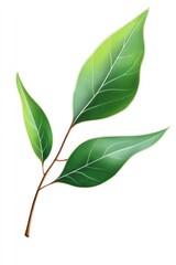 Vibrant green leaves on a delicate stem.  Detailed illustration showcases two leaves with varying shades of green,  creating a sense of depth and texture. 