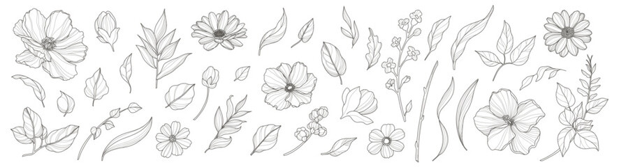 Flowers, Branches and Leaves in line art Set. Hand drawn sketches of blooming floral plants. Vector botanical illustration